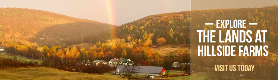 Explore the Lands at Hillside Farms today!