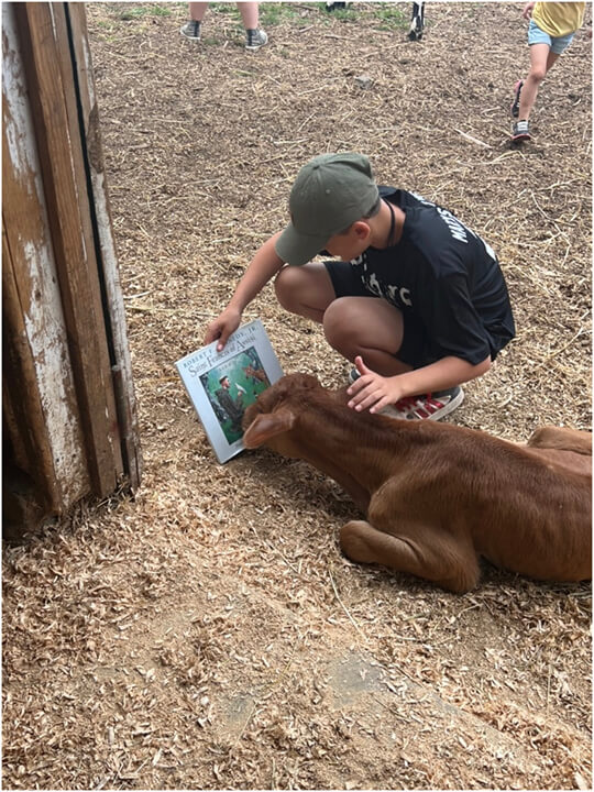 Care Farming participation